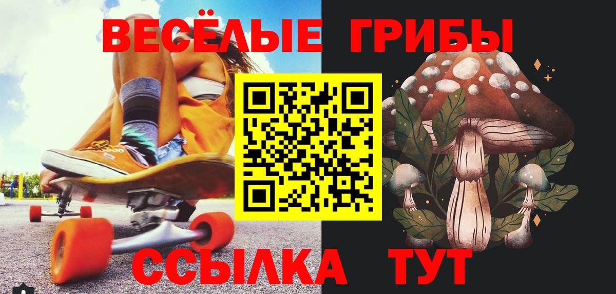 Галлюциногенные грибы ЛСД  купить   Вход с VPN  Новозыбков  Псилоцибиновые грибы мухоморы 